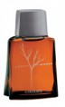 Connexion woods 100ml
